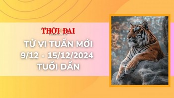 Tử vi tuần mới 9/12 đến 15/12/2024 tuổi Dần: Tình duyên, công danh tài lộc
