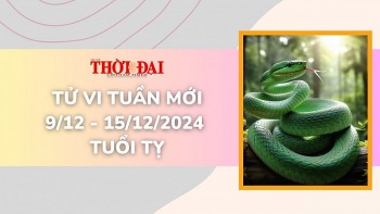 Tử vi tuần mới 9/12 đến 15/12/2024 tuổi Tỵ: Sức khỏe, tình duyên, công danh tài lộc