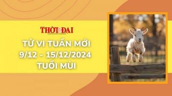 Tử vi tuần mới 9/12 đến 15/12/2024 tuổi Mùi: Tình duyên, công danh tài lộc