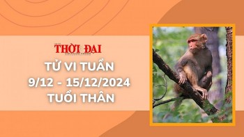 Tử vi tuần mới tuổi Thân 9/12 đến 15/12/2024: Tình duyên, công danh tài lộc