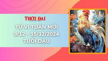 Tử vi tuần mới 9/12 đến 15/12/2024 tuổi Dậu: Bước vào giai đoạn rực rỡ