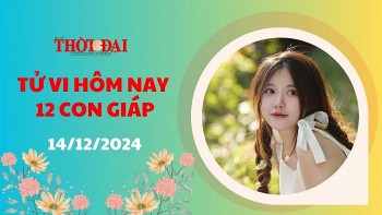 Tử vi hôm nay 12 con giáp 14/12/2024: Tý có một ngày thong dong nhẹ nhàng