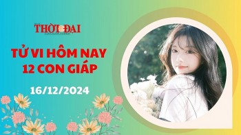 Tử vi hôm nay 12 con giáp 16/12/2024: Ngọ tam hội giúp sức làm gì cũng may mắn