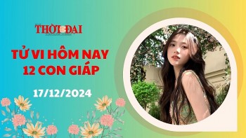 Tử vi hôm nay 12 con giáp 17/12/2024: Tuất may mắn ngập lối