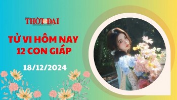 Tử vi hôm nay 12 con giáp 18/12/2024: Thìn chuẩn bị đón nhiều tin tốt lành trên đường tài lộc