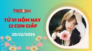 Tử vi hôm nay 12 con giáp 20/12/2024: Mùi đưa ra quyết định sáng suốt về tài chính