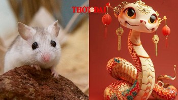 Top con giáp may mắn hôm nay 12/12/2024: Tỵ vượng tài Tý cát tinh xuất hiện