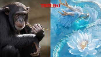 top con giap may man hom nay 13122024 than co buoc tien trong cong viec thin duoc cap tren cong nhan