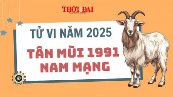 Tử vi năm 2025 tuổi Tân Mùi 1991 nam mạng: Cơ hội hay thách thức?