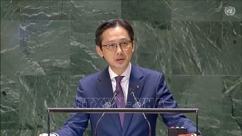 viet nam keu goi lenh ngung ban tai gaza