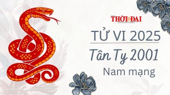 tu vi nam 2025 tuoi tan ty 2001 nam mang kho khan nhieu ap luc