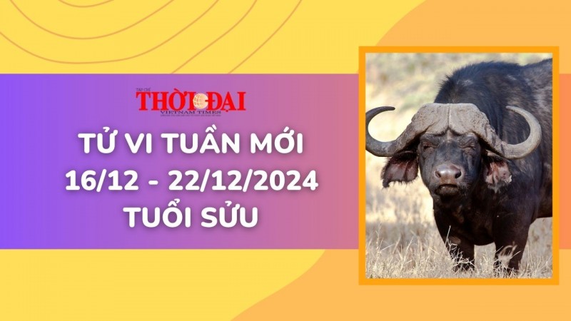 Tử vi tuần mới 16/12 đến 22/12/2024 tuổi Sửu: Gặp nhiều cơ hội may mắn