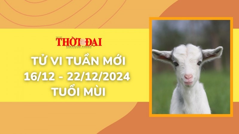 Tử vi tuần mới 16/12 đến 22/12/2024 tuổi Mùi: Tình duyên, công danh tài lộc