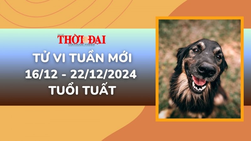 Tử vi tuần mới 16/12 đến 22/12/2024 tuổi Tuất: Khoảng thời gian đầy hứa hẹn