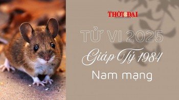 Tử vi năm 2025 tuổi Giáp Tý 1984 nam mạng: Nhiều cơ hội và thách thức