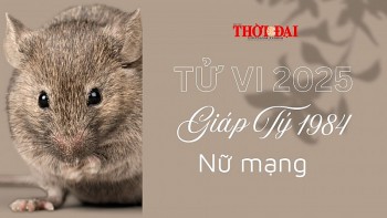 Tử vi năm 2025 tuổi Giáp Tý 1984 nữ mạng: Đối mặt với nhiều biến động và thách thức