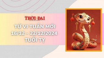 tu vi tuan moi 1612 den 22122024 tuoi ty nhieu co hoi moi mo ra trong cong viec