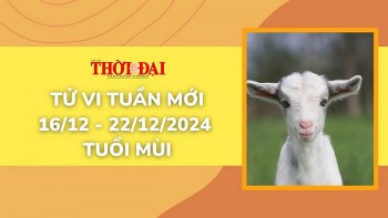 tu vi tuan moi 1612 den 22122024 tuoi mui tinh duyen cong danh tai loc