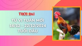 tu vi tuan moi 1612 den 22122024 tuoi dau tinh duyen cong danh tai loc
