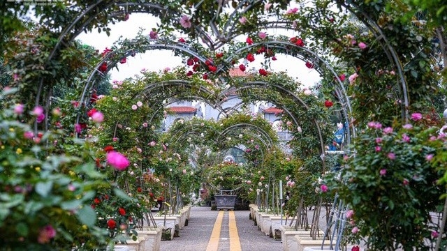 Nhiều sự kiện văn hoá sẽ được diễn ra tại Festival Hoa Mê Linh lần thứ 2