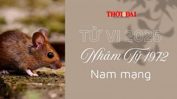 tu vi nam 2025 tuoi nham ty 1972 nam mang it bien dong it co van de nghiem trong