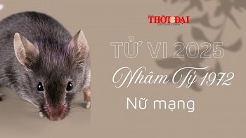 tu vi nam 2025 tuoi nham ty 1972 nu mang suc khoe gia dao cong danh su nghiep