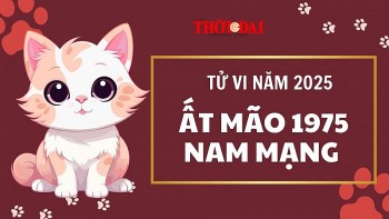 Tử vi năm 2025 tuổi Ất Mão 1975 nam mạng: Đương đầu một vài khó khăn, trở ngại