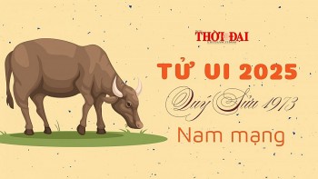 Tử vi năm 2025 tuổi Quý Sửu 1973 nam mạng: Gặp nhiều cơ hội tốt phát triển sự nghiệp