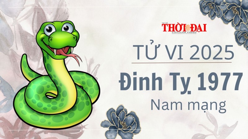 Tử vi năm 2025 tuổi Đinh Tỵ 1977 nam mạng: Khó khăn, hao tốn tiền bạc