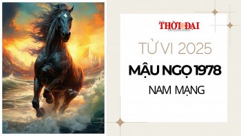 Tử vi năm 2025 tuổi Mậu Ngọ 1978 nam mạng: Năm nhẹ nhàng không có bon chen