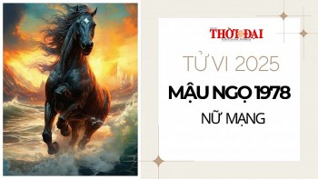 Tử vi năm 2025 tuổi Mậu Ngọ 1978 nữ mạng: Đối mặt với nhiều biến động trong công việc và sự nghiệp