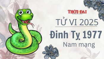 Tử vi năm 2025 tuổi Đinh Tỵ 1977 nam mạng: Khó khăn, hao tốn tiền bạc