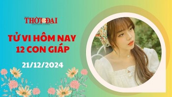 Tử vi hôm nay 12 con giáp 21/12/2024: Thần Tài mang đến cơ hội kiếm tiền cho tuổi Mão