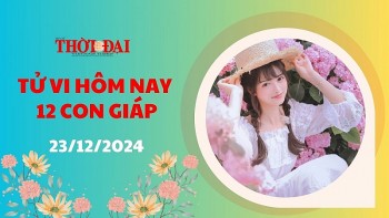 Tử vi hôm nay 12 con giáp 23/12/2024: Ngọ công việc tiến triển ngoài mong đợi