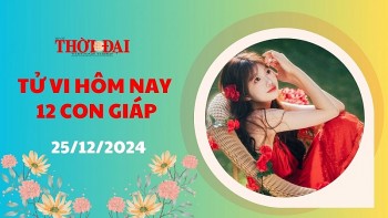 Tử vi hôm nay 12 con giáp 25/12/2024: Thìn có bước tiến quan trọng trên đường công danh