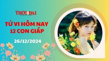 Tử vi hôm nay 12 con giáp 26/12/2024: Mão gặp nhiều may mắn trong công việc