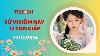 Tử vi hôm nay 12 con giáp 29/12/2024: Tỵ nhận được nhiều sự ủng hộ, hậu thuẫn