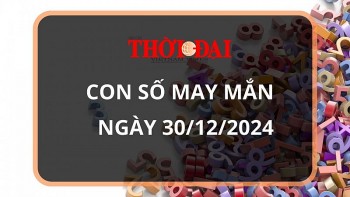 con so may man hom nay 30122024 12 con giap tuat tien bac doi ve
