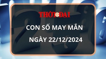 con so may man hom nay 22122024 12 con giap mui co phat tai