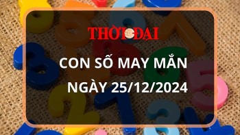 Con số may mắn hôm nay 25/12/2024 12 con giáp: Tuất thành công mọi phương diện