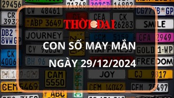 Con số may mắn hôm nay 29/12/2024 12 con giáp: Hợi cát tinh soi đường dẫn lối