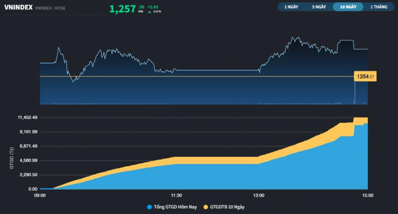 Thị trường xuất hiện sóng Midcap và Penny Thị trường xuất hiện sóng Midcap và Penny