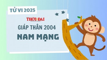 Tử vi năm 2025 tuổi Giáp Thân 2004 nam mạng: Công danh sự nghiệp đối mặt nhiều khó khăn