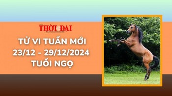 tu vi tuan moi 2312 den 29122024 tuoi ngo tinh duyen cong danh tai loc