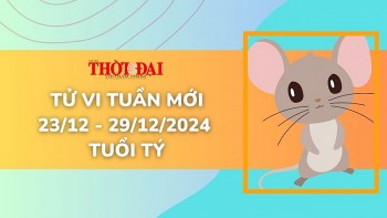 Tử vi tuần mới 23/12 đến 29/12/2024 tuổi Tý: Tình duyên, công danh tài lộc