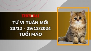 Tử vi tuần mới 23/12 đến 29/12/2024 tuổi Mão: Cát tinh ghé thăm