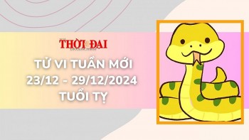 Tử vi tuần mới 23/12 đến 29/12/2024 tuổi Tỵ: Tình duyên, công danh tài lộc