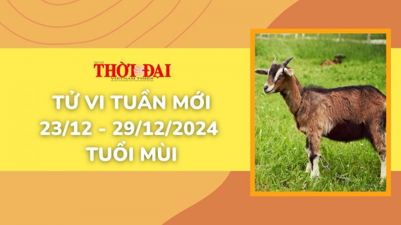 Tử vi tuần mới 23/12 đến 29/12/2024 tuổi Mùi: Tình duyên, công danh tài lộc