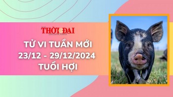 tu vi tuan moi 2312 den 29122024 tuoi hoi tinh duyen cong danh tai loc