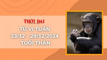 tu vi tuan moi 2312 den 29122024 tuoi than tinh duyen cong danh tai loc